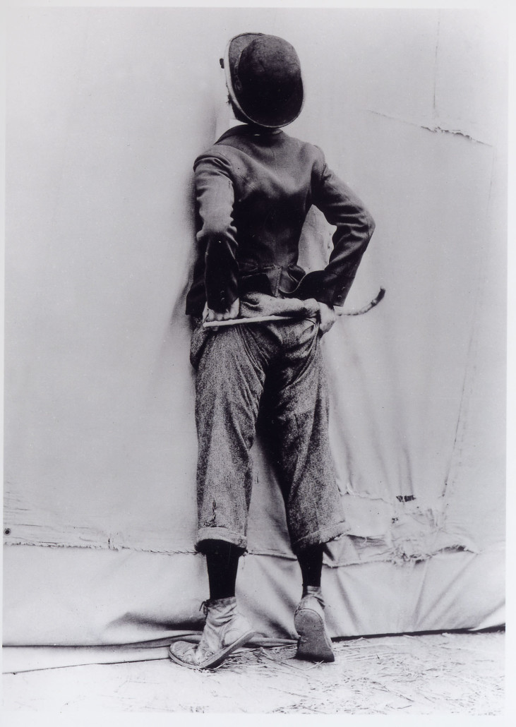 Circus 1Ş Roy Export SAS (2)